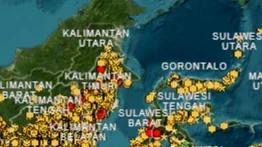   Menhut Cabut Izin Lima Perusahaan Terkait Karhutla di Kalimantan
