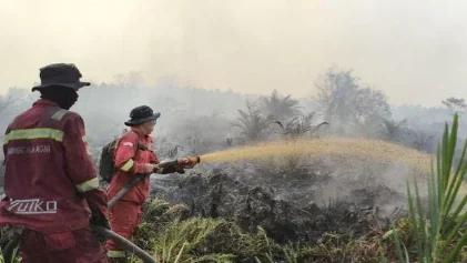 Hotspot Karhutla Naik Jadi 331 Titik, Kalsel dan Sumsel Jadi Perhatian